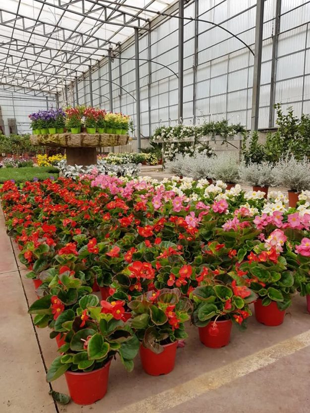 93169856_3510092282341496_5850198657806106624_n