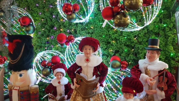 20221101_115816_resized